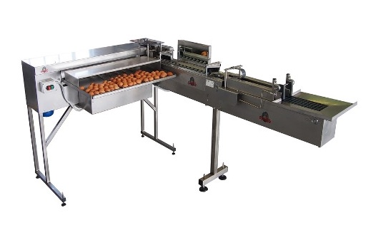 Riva Selegg S31 XL Egg Grader with 3,000 eggs per hour capacity.